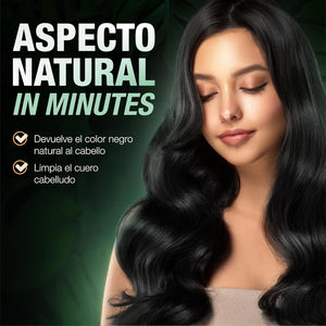 Abera Shampoo Color Negro Natural