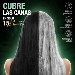 Abera Shampoo Color Negro Natural
